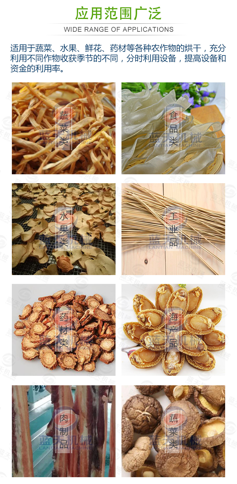 黃花菜網(wǎng)帶烘干機應(yīng)用范圍