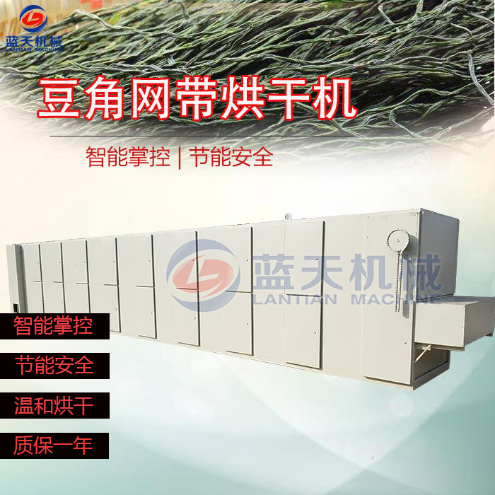 豆角網(wǎng)帶烘干機