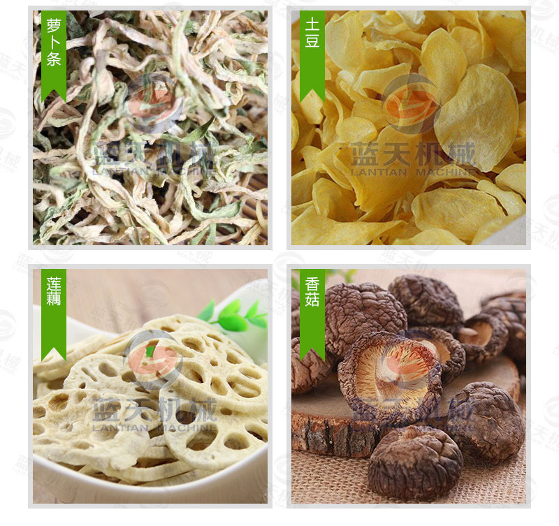 豆角網(wǎng)帶烘干機烘干效果