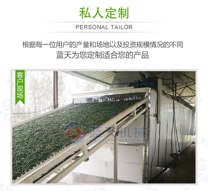 豆角網(wǎng)帶烘干機私人定制
