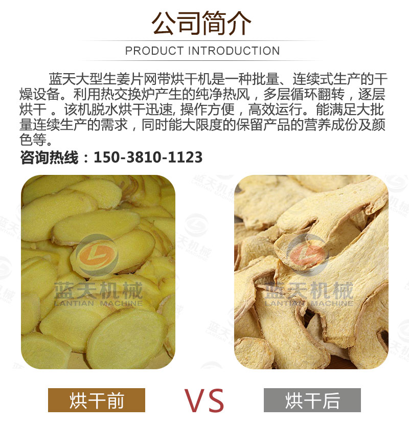 生姜片網(wǎng)帶烘干機(jī)產(chǎn)品簡(jiǎn)介