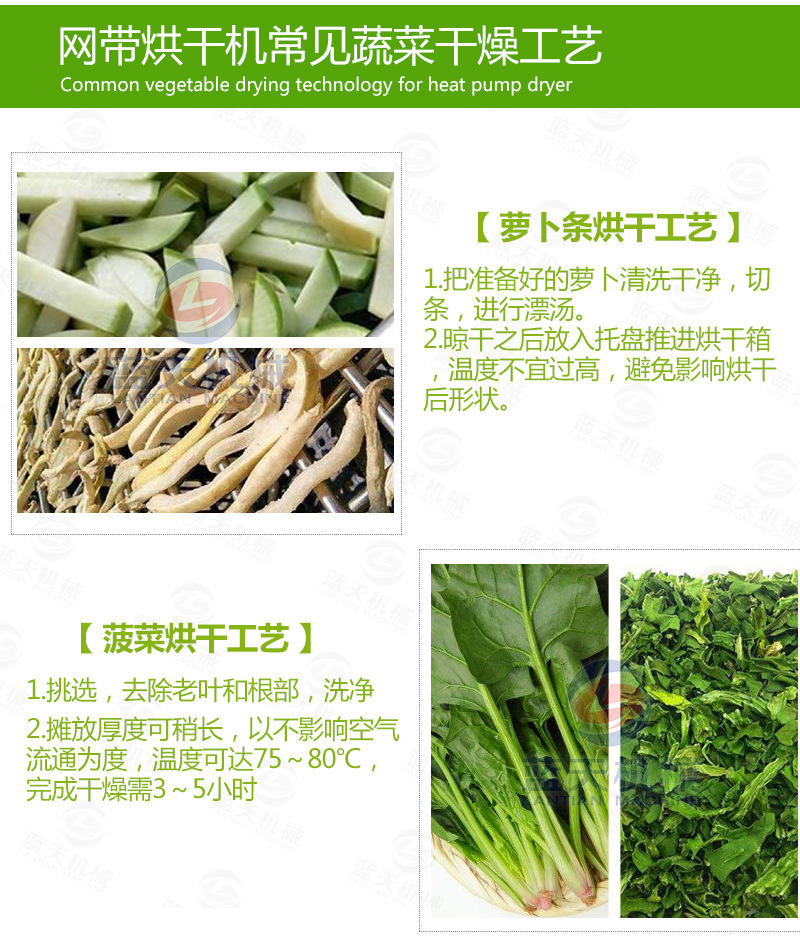 豆角網(wǎng)帶烘干機常見烘干工藝