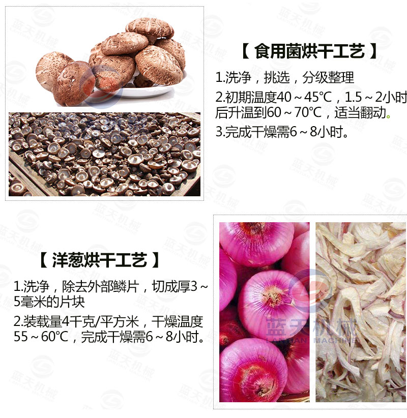 生姜片網(wǎng)帶烘干機(jī)常見(jiàn)烘干工藝