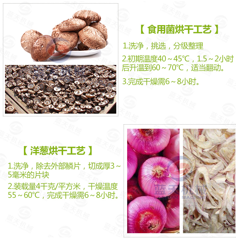  大蒜片網(wǎng)帶烘干機常見蔬菜烘干工藝