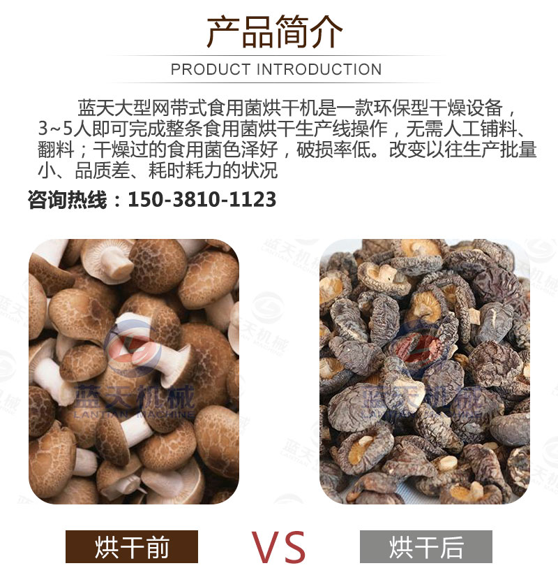 食用菌網(wǎng)帶烘干機(jī)產(chǎn)品簡(jiǎn)介