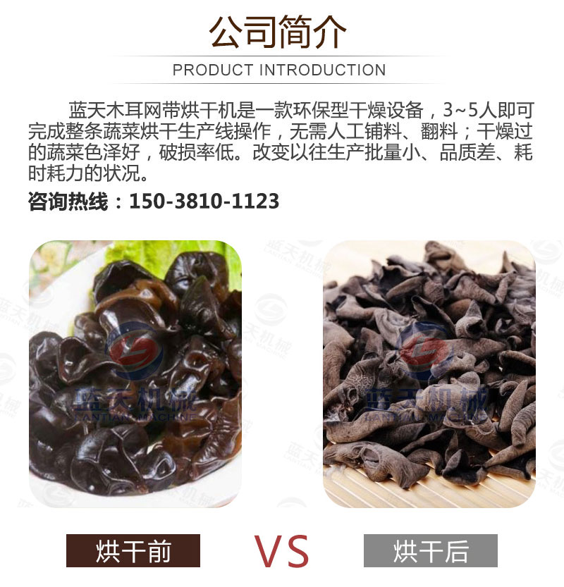 木耳網(wǎng)帶烘干機(jī)產(chǎn)品簡(jiǎn)介