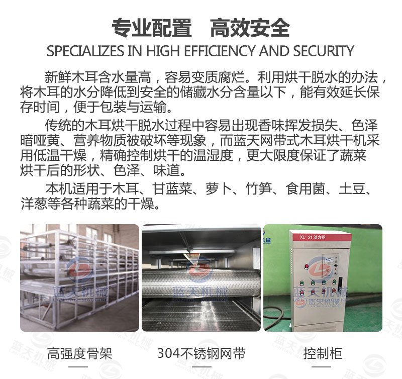 木耳網(wǎng)帶烘干機(jī)專業(yè)配置