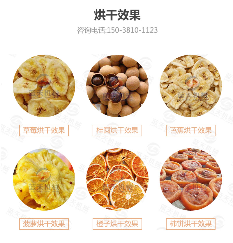 香蕉片網(wǎng)帶烘干機(jī)烘干效果