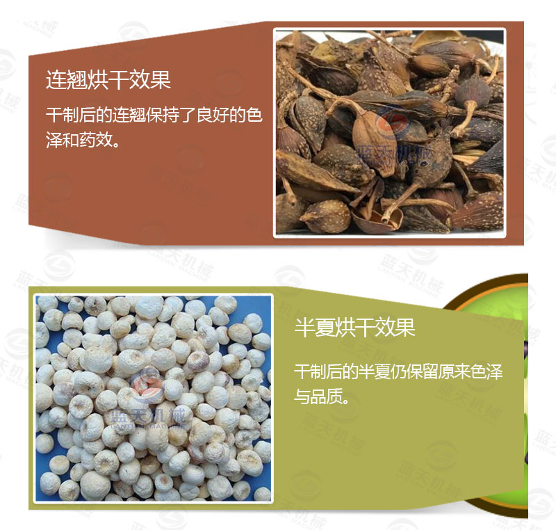 連翹網(wǎng)帶式烘干機產(chǎn)品烘干介紹