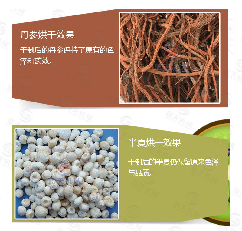 丹參網(wǎng)帶式烘干機產品烘干介紹