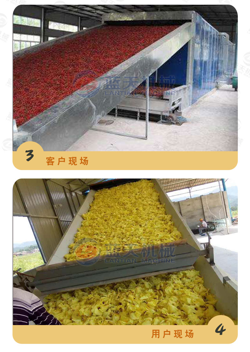 地瓜干網(wǎng)帶式烘干機(jī)用戶現(xiàn)場(chǎng)