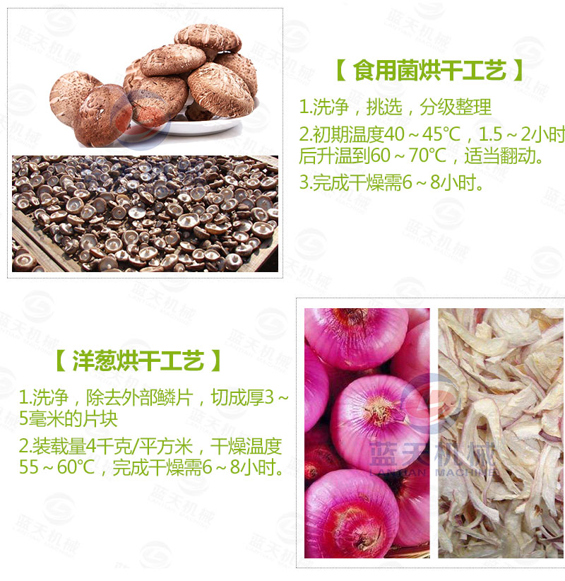 花生網(wǎng)帶式烘干機常見蔬菜烘干工藝