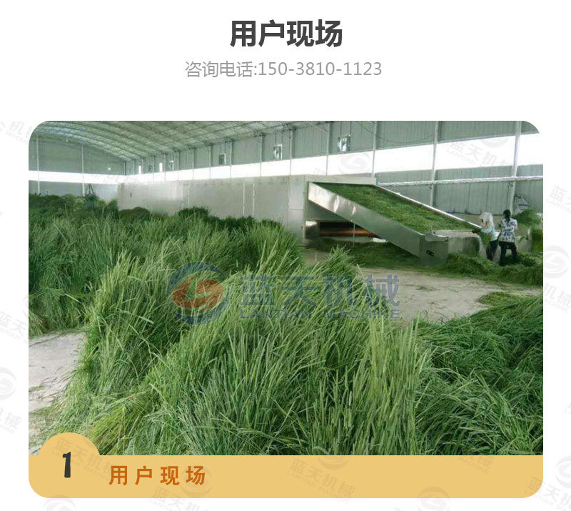 牧草網(wǎng)帶式烘干機(jī)用戶現(xiàn)場